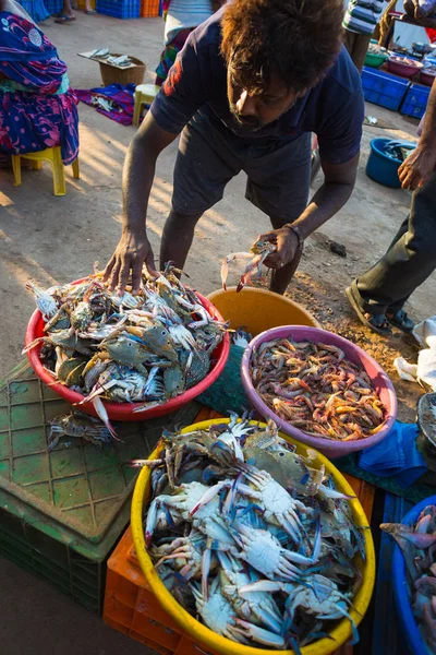 Fish and other seafood in the markets of Goa and other states o — Stock Photo, Image