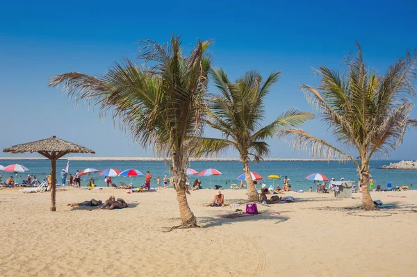 Prachtig strand met palmboom — Stockfoto