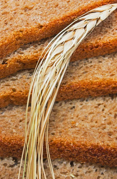 Bread and ears — Stock Photo, Image