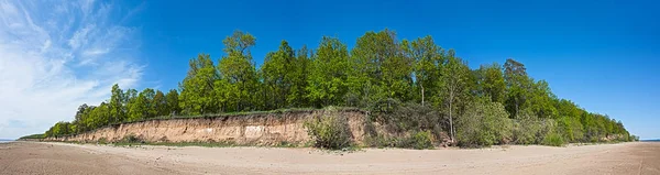 Panorama letní krajina s listnatý les na ostrově — Stock fotografie
