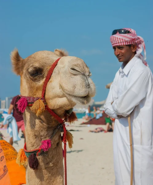 Árabe com camelo na praia em Dubai — Fotografia de Stock