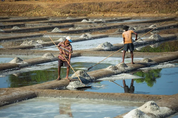 Produção de sal em uma fazenda na Índia — Fotografia de Stock