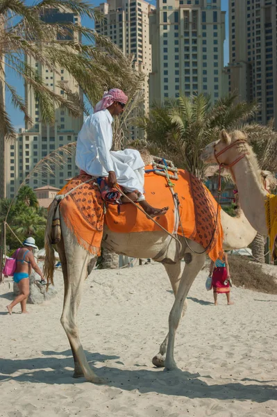 Arab with camel on the beach in Dubai — Stock Photo, Image