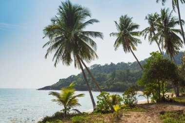 güzel tropikal beach Adası koh chang adlı 