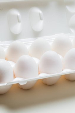 Tavuk yumurtası kaset kutusu