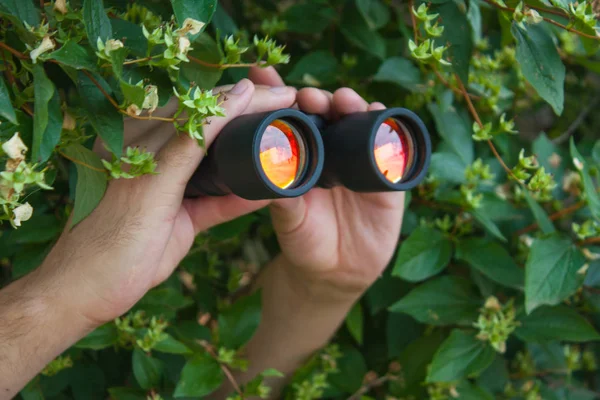 Kijken Uit Struiken Met Een Verrekijker — Stockfoto