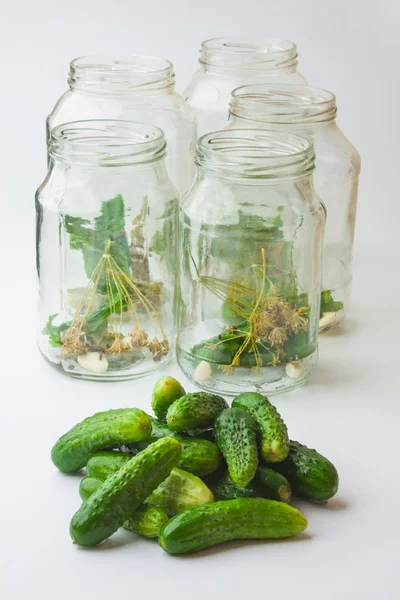 Harvesting Canning Cucumbers Winter — Stock Photo, Image