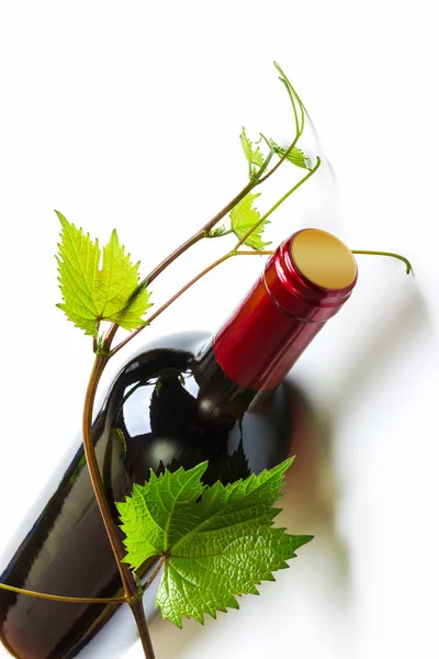 Bottle Wine Vine — Stock Photo, Image