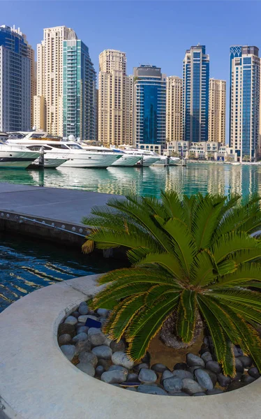 Dubai Eau Novembre Yacht Club Dubai Marina Émirats Arabes Unis — Photo