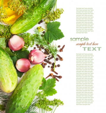 baharat beyaz zemin üzerine izole ve salatalık dekapaj