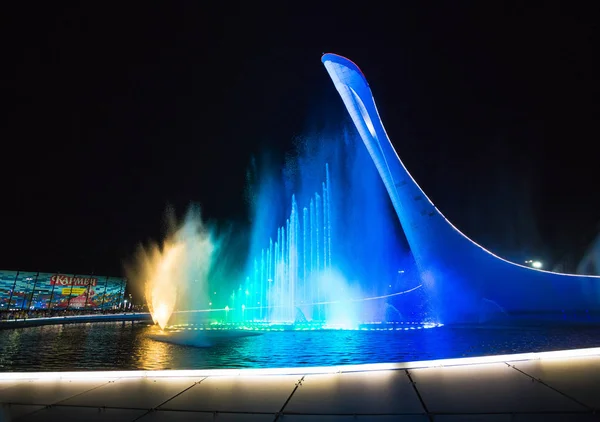 Sochi Russia Haziran 2016 Olimpiyat Ateşi Kase Firebird Akşam Olimpiyat — Stok fotoğraf