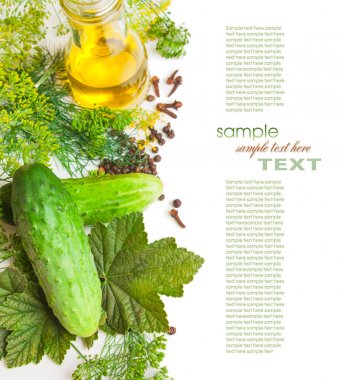 baharat beyaz zemin üzerine izole ve salatalık dekapaj