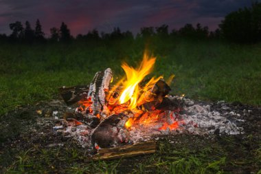 akşam alacakaranlıkta ormandaki şömine