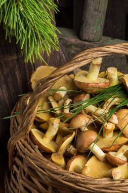 Natürmort sarı boletus mantar bir sepet içinde