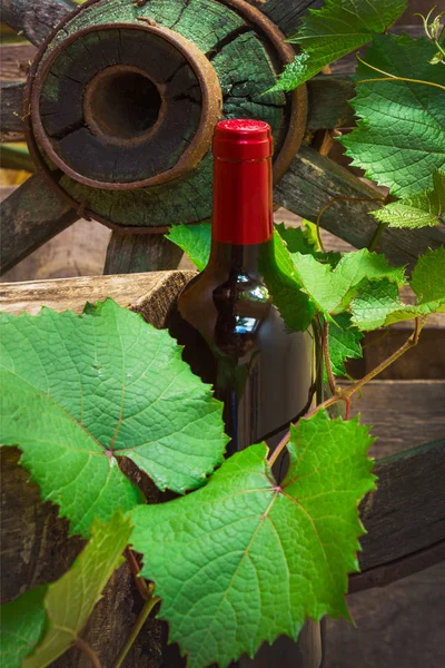 Sarmaşığın Arka Planında Bir Şişe Şarap Eski Bir Çevrede — Stok fotoğraf