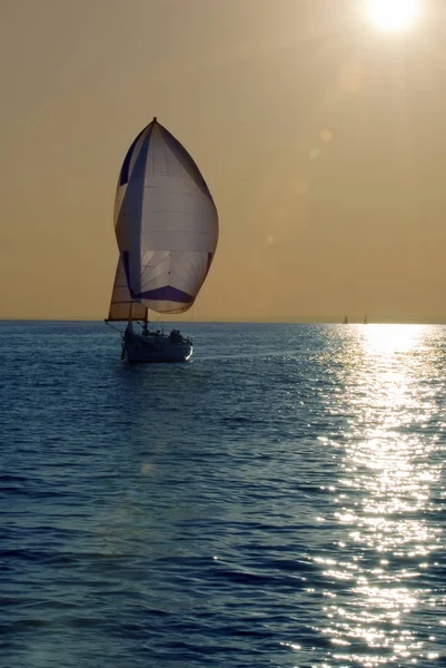 Yacht Partecipa Gare Vela Mare — Foto Stock