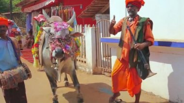 Hindistan, Goa, 15 Şubat 2017. Piyasada eğitimli bir boğa ile müzisyenler