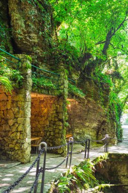 Abhazya Kafkasya'da gorge restoranda