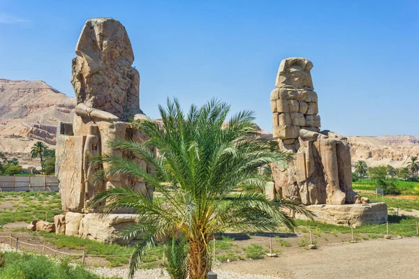 Kolossen Van Memnon Vallei Van Koningen Luxor Egypte 2012 Jaar — Stockfoto