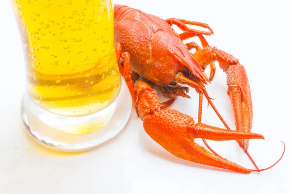 Homard Rouge Avec Verre Bière Sur Fond Blanc — Photo