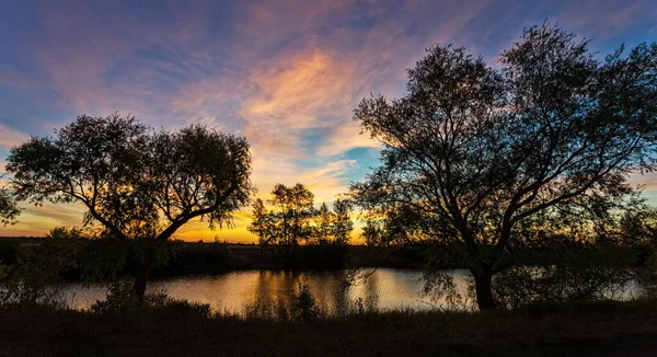 Peisaj Apus Soare Cer Portocaliu Înnorat Siluetă Copac — Fotografie, imagine de stoc