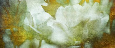 Lale eklendi, farklı boyama kanalları ile kart kavramı fotoğraf yas tonda.