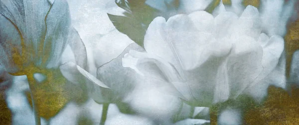 Tulipes Tonifiées Avec Différents Canaux Peinture Ajoutés Carte Deuil Concept — Photo