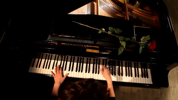 Las manos femeninas tocando el piano de cola, primer plano — Vídeos de Stock
