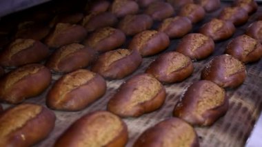 Somun ekmek fırını üretim hattında üzerinde. Pişmiş somun ekmek fırını içinde. Ekmek unlu gıda fabrika üretim taze ürünler ile.