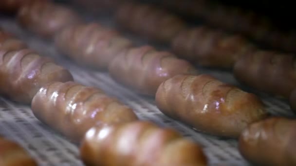 Laib Brot Fließband Der Bäckerei Brot Der Backstube Gebacken Brotbäckerei — Stockvideo