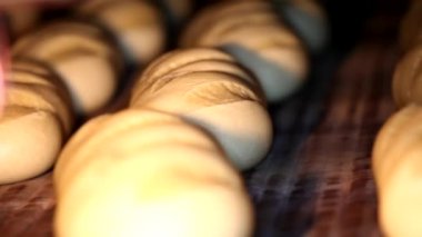 Somun ekmek fırını üretim hattında üzerinde. Ekmek unlu gıda fabrika üretim taze ürünler ile.