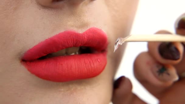 Mujer Haciendo Labios Maquillaje Cerca — Vídeo de stock