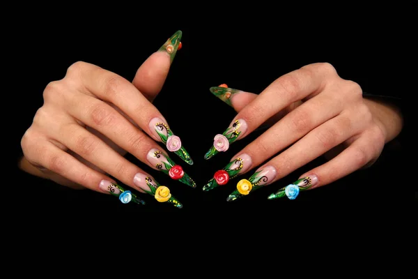 Гвозди Человеческие пальцы с длинным ногтем и красивым маникюром Стоковая Картинка