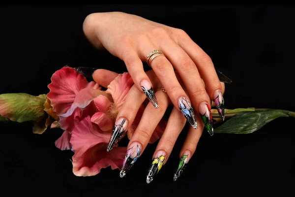 Naglar Mänskliga fingrar med lång nagel och vacker manikyr Royaltyfria Stockfoton