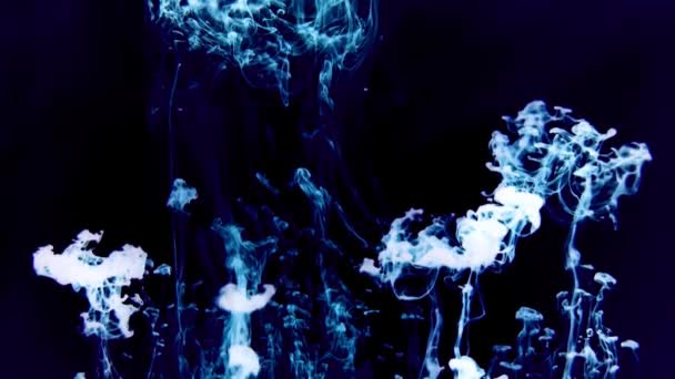 Ink in water dynamic movements. Abstract — Stock Video