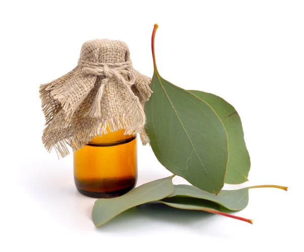 Liście eukaliptusa z butelki farmaceutyczne. — Zdjęcie stockowe