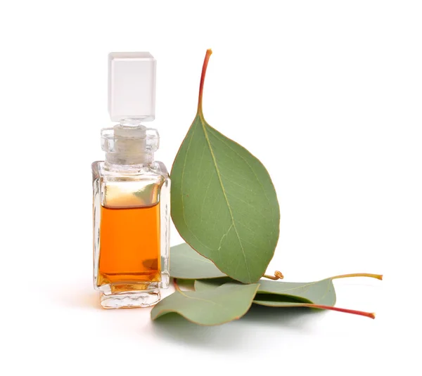 Eucalyptus essential oil with leaves. — Stock Photo, Image