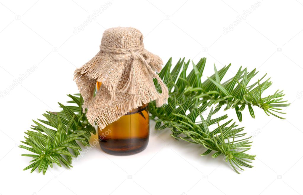 Firs (Abies) essential oil.