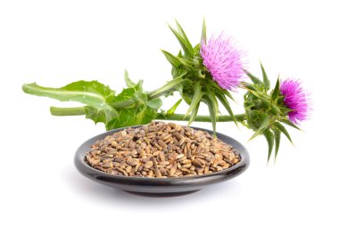 Milk thistle flowers with seeds. clipart
