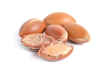 Argan tohum Isolated beyaz arka plan üzerinde.