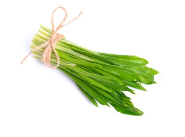 allium ursinum Ramsons bilinen