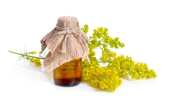 Galium verum, lady's SÄNGHALM eller gula SÄNGHALM. — Stockfoto