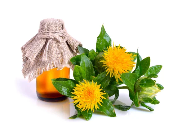 Planta de cártamo con aceite en la botella . — Foto de Stock