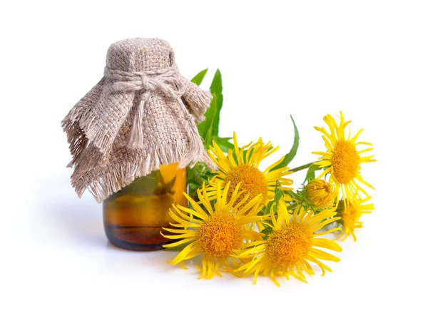 Inula with pharmaceutical botlle isolated on white background. — Stock Photo, Image