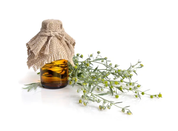 Artemisia with pharmaceutical bottle. Isolated — Stock Photo, Image