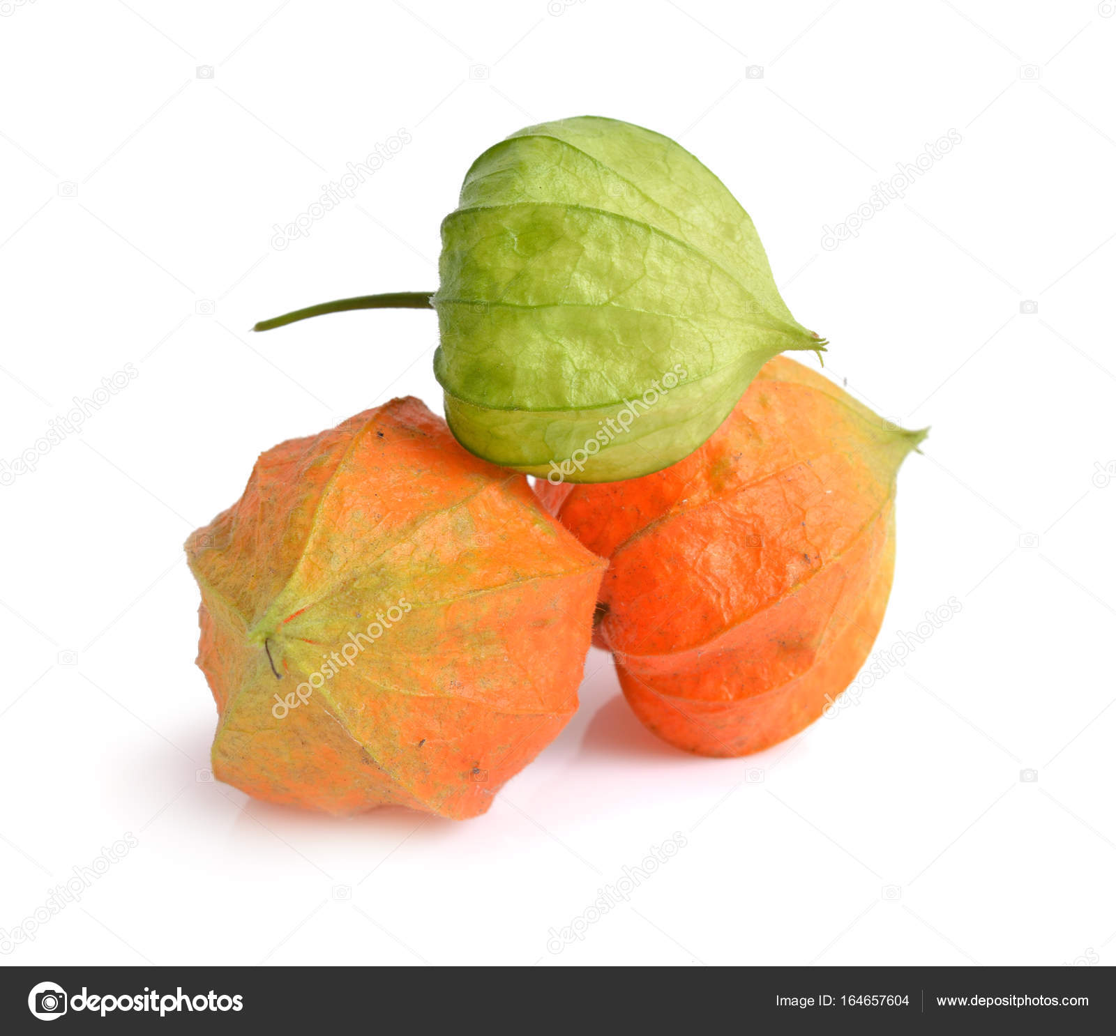 namn på bär namn på bär