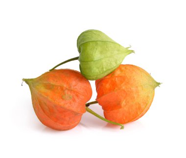 Physalis. Başka isim yok poha çilek, sadece altın çilek