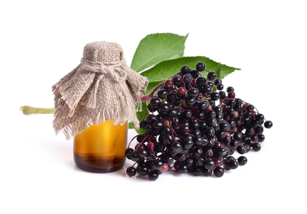 Beyaz izole Sambucus nigra.  