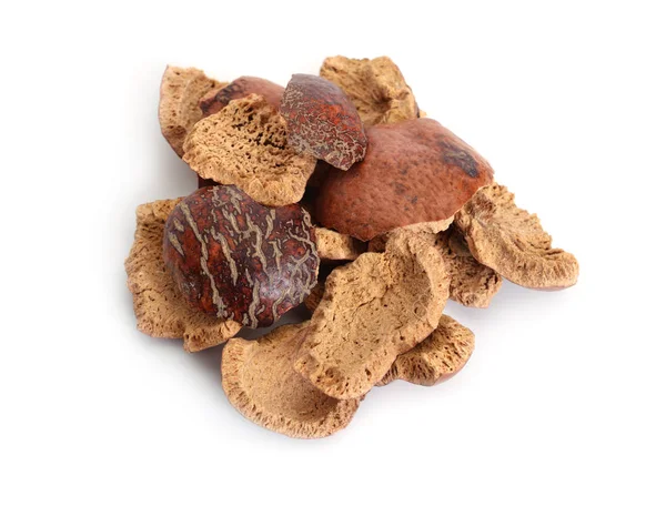 Dried peels of Hyphaene thebaica, doum palm or gingerbread tree — Stock Photo, Image