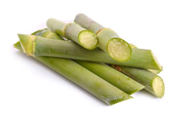 Beyaz arkaplanda izole şeker kamışı